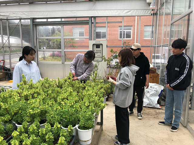 학부생 논문작성을 위한 연구활동