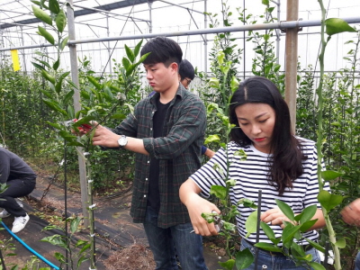 2016 과수학 실습 9/26