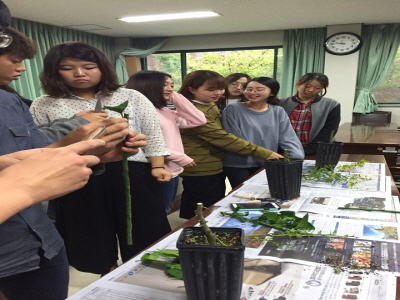 2016 접목실습 9/19