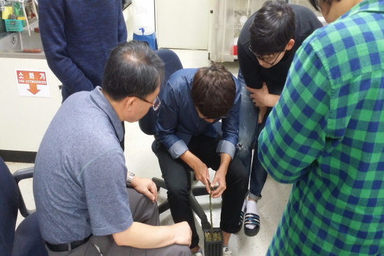 2015 종자기사 교육