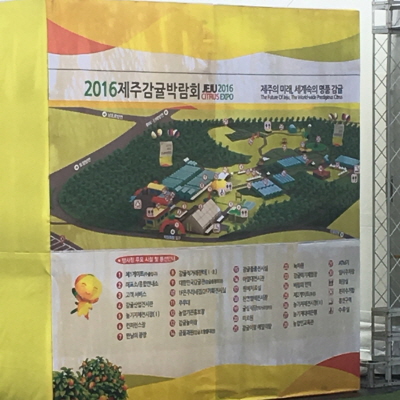 2016년 감귤박람회