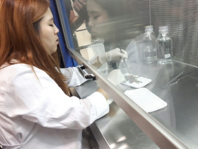 2016 조직배양및 실습으로 9/26