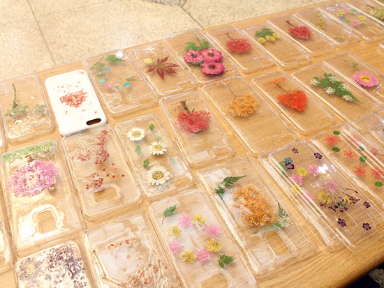 2015 원예식물 압화전시회