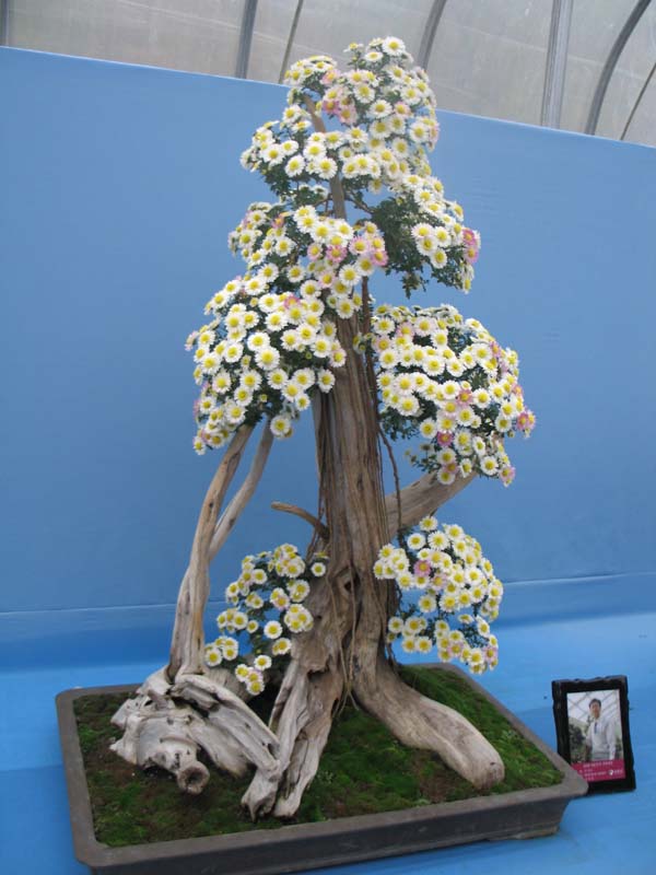 2008년 창업트랙제 국내연수