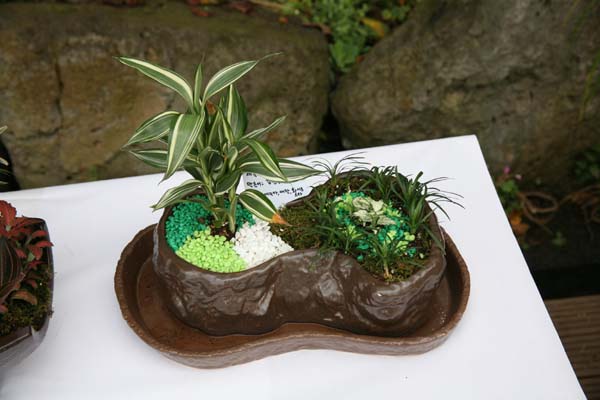 2008년 원예식물 압화전시회