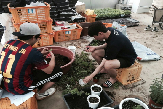 2015 원예식물 압화전시회 준비