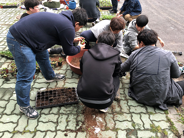 2019년 04월 11일 식물번식학 및 실습