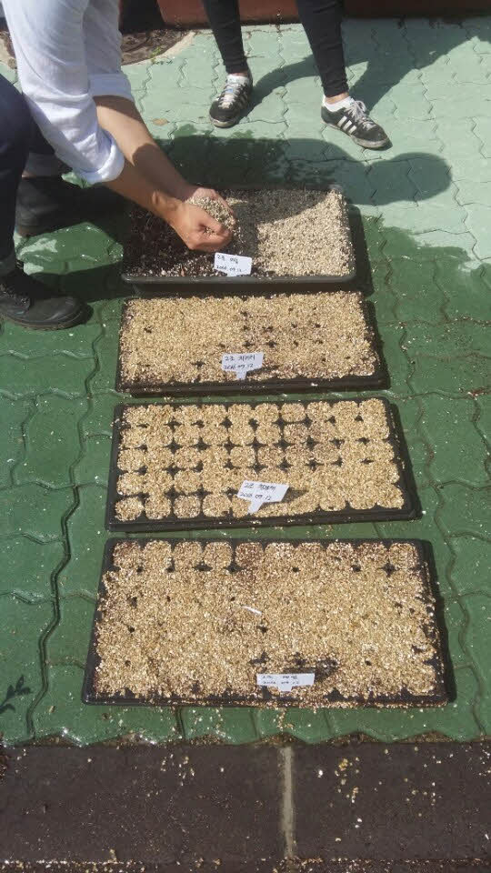 2016 플러그묘 실습 9/21