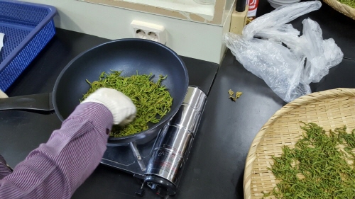 2016 녹차 직접 만들기 4/25