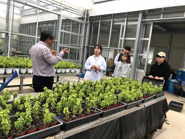 학부생 논문작성을 위한 연구활동