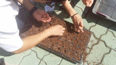 2016 화훼장식 기능사 5/12