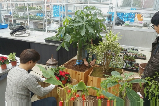 2015 캡스폰 발표회