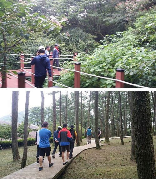 2015 제주자생식물 생태탐방 행사