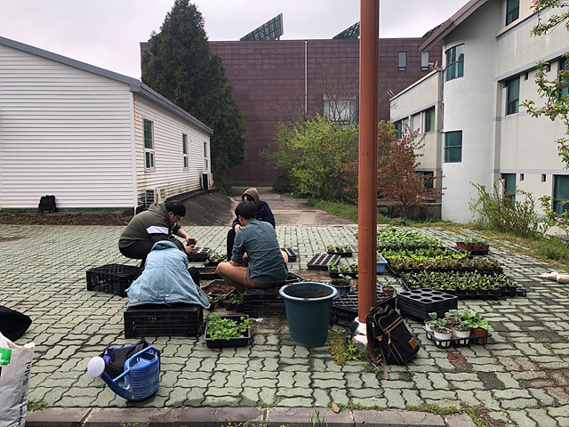 2019년 04월 11일 식물번식학 및 실습