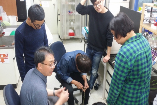 2015 종자기사 교육