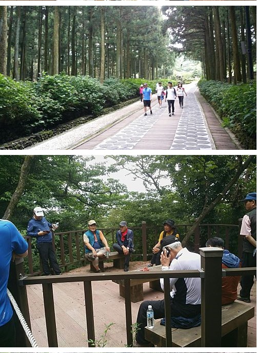 2015 제주자생식물 생태탐방 행사