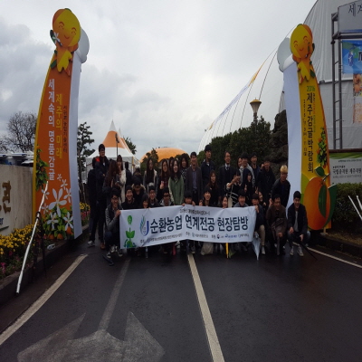 2016년 감귤박람회