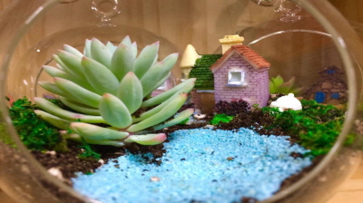 2016년 원예학과 전시회 준비