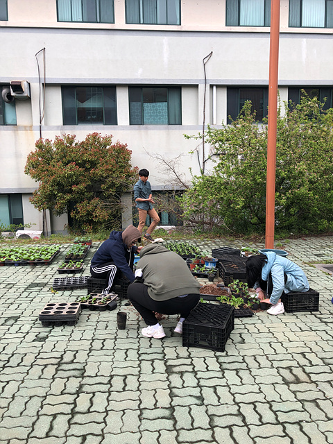 2019년 04월 11일 식물번식학 및 실습