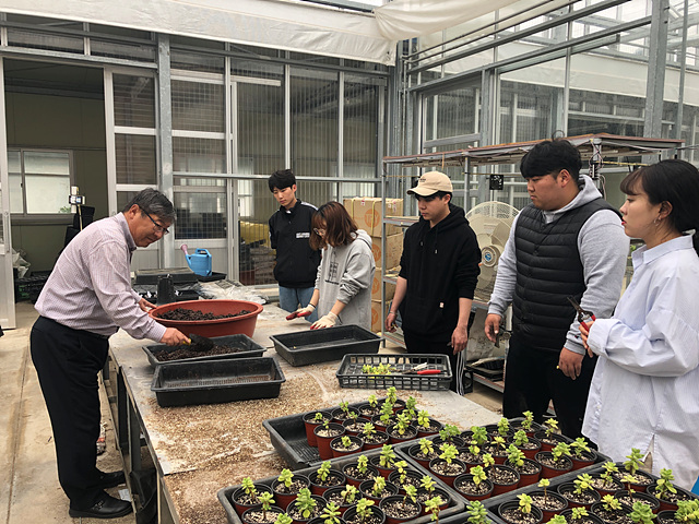 학부생 논문작성을 위한 연구활동