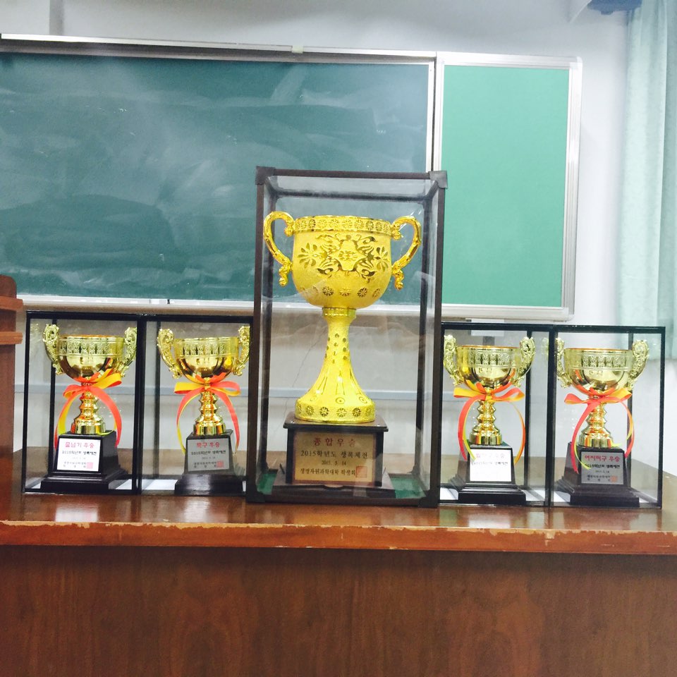 2015년도 체육대회