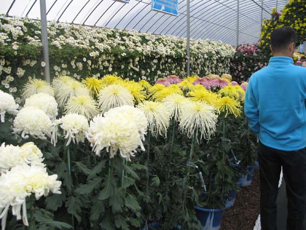 2008년 창업트랙제 국내연수