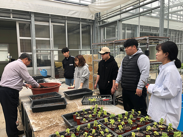 학부생 논문작성을 위한 연구활동