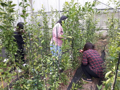 2016 과수학 실습 9/26