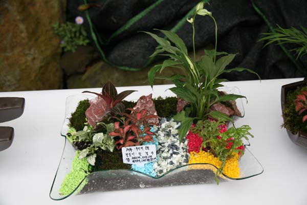 2008년 원예식물 압화전시회