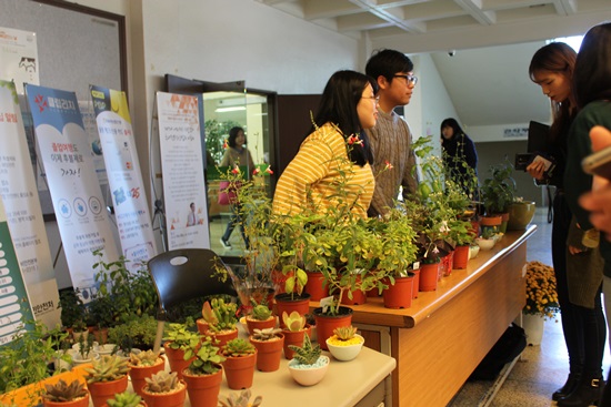 2015 원예식물 압화전시회