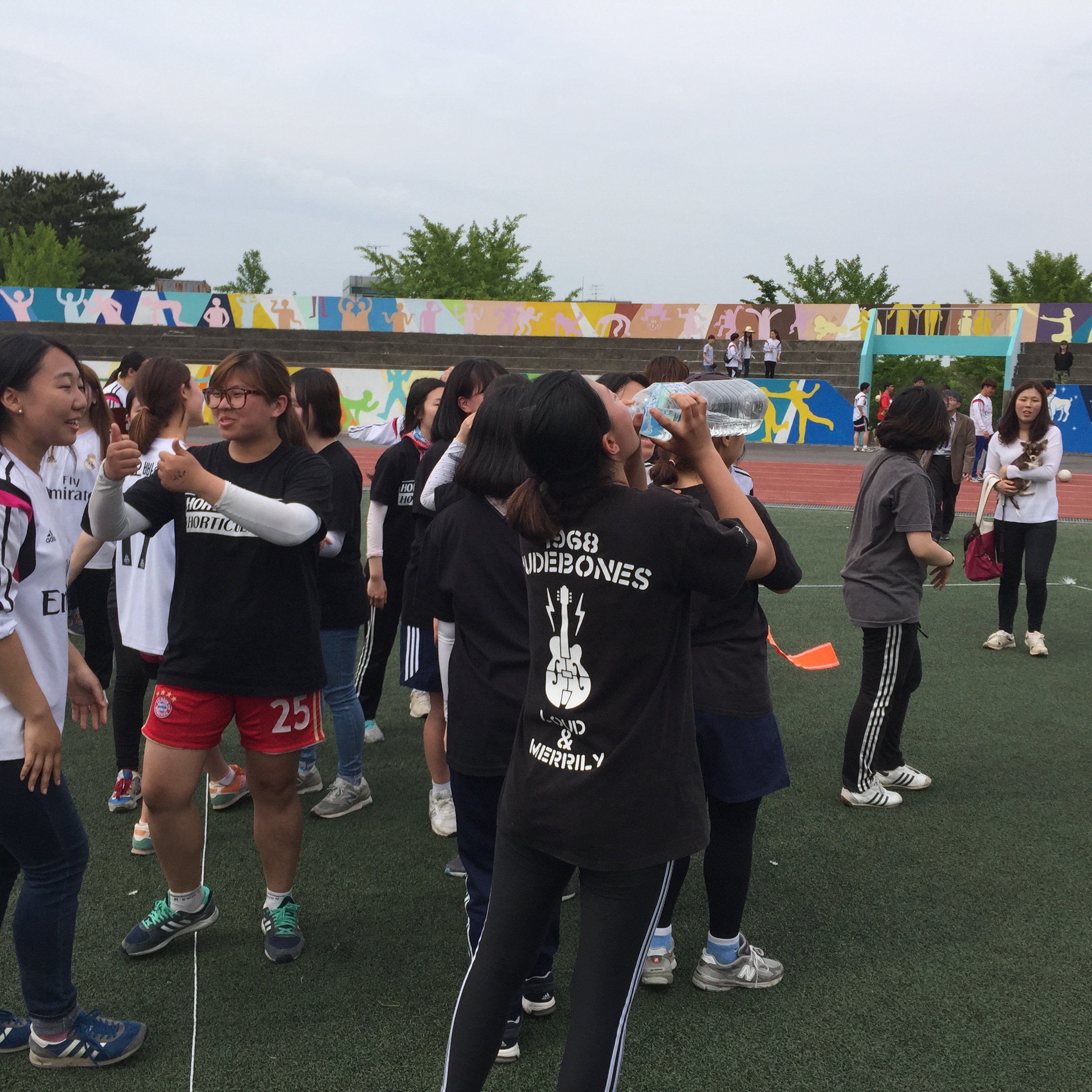 2015년도 체육대회